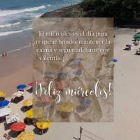 Quarta é dia de respirar fundo, manter a calma e seguir com coragem. Ainda dá tempo de fazer a 
semana valer a pena!
Feliz quarta!