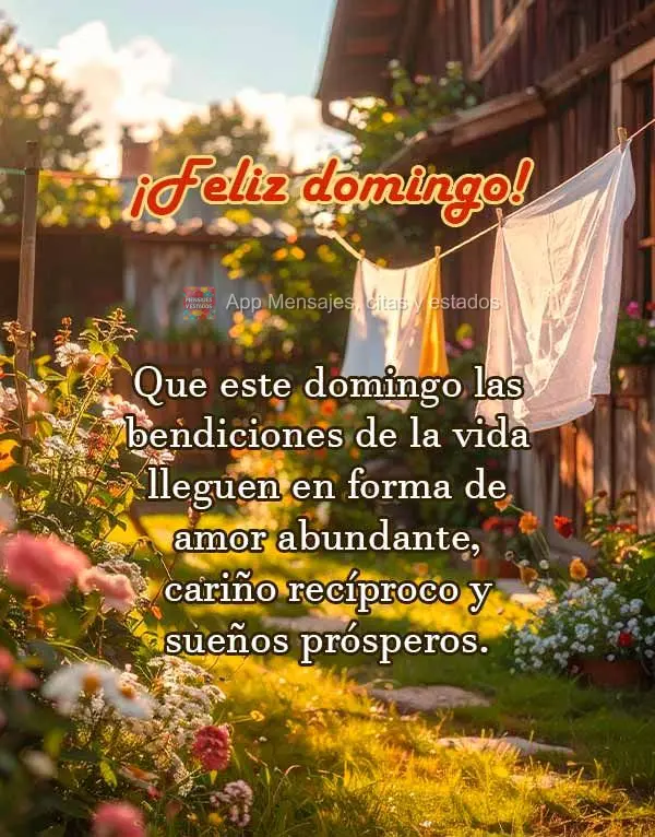 Que este domingo las bendiciones de la vida lleguen en forma de amor abundante, cariño recíproco y sueños prósperos. ¡Feliz domingo!