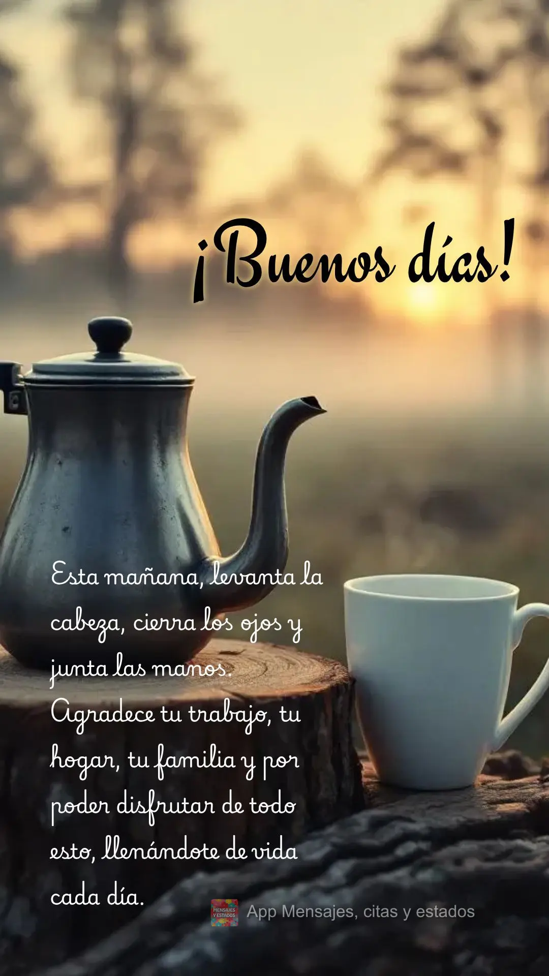 Nesta manhã erga a cabeça, feche os olhos e junte as mãos. Agradeça pelo seu trabalho, pela sua moradia, pela família e por poder desfrutar de tudo ...
