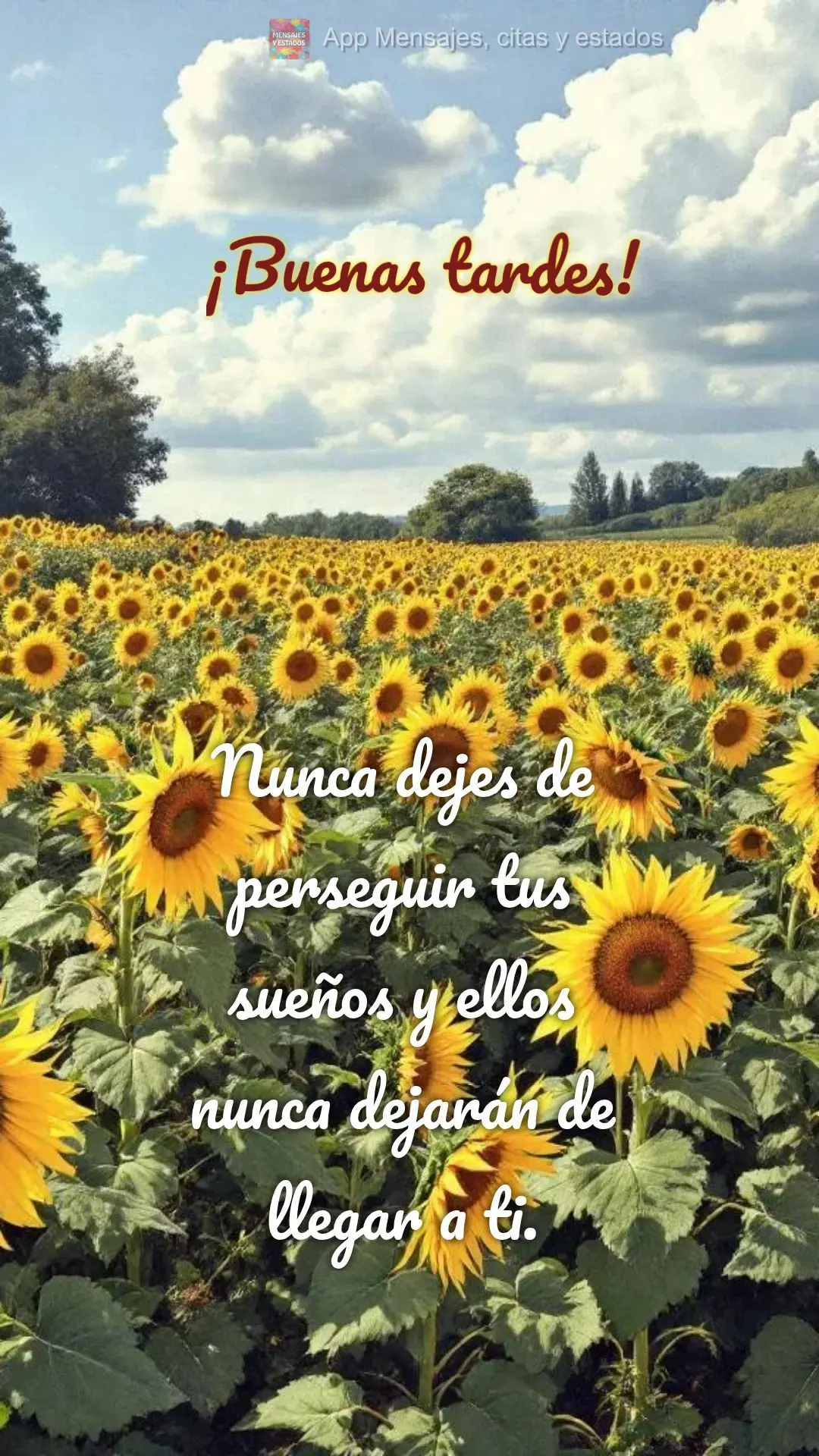 Nunca pare de perseguir seus sonhos e eles nunca vão parar de chegar até você. 
 Boa tarde!