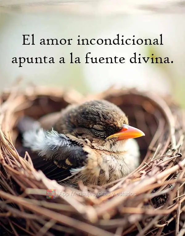 El amor incondicional apunta a la fuente divina.