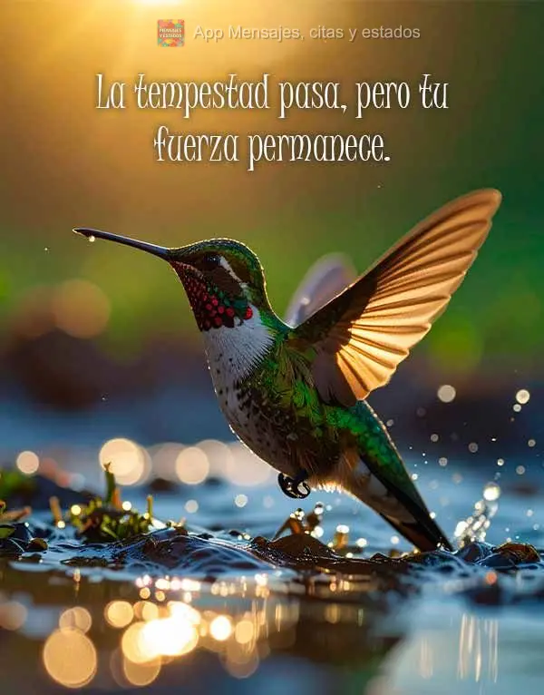 La tempestad pasa, pero tu fuerza permanece.