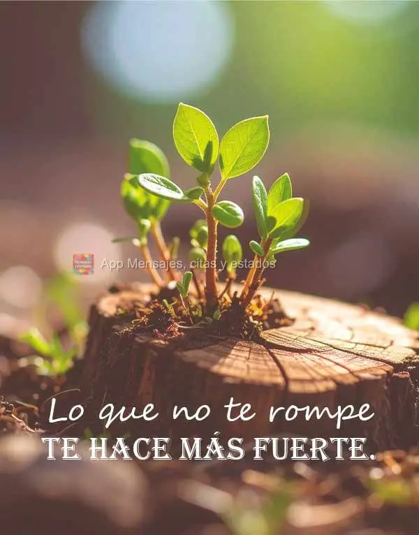 O que não te quebra, te fortalece.