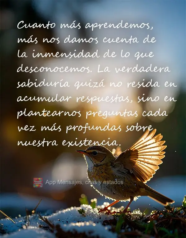 Quanto mais aprendemos, mais percebemos a vastidão do que não sabemos. A verdadeira sabedoria talvez não esteja em acumular respostas, mas em fazer pe...