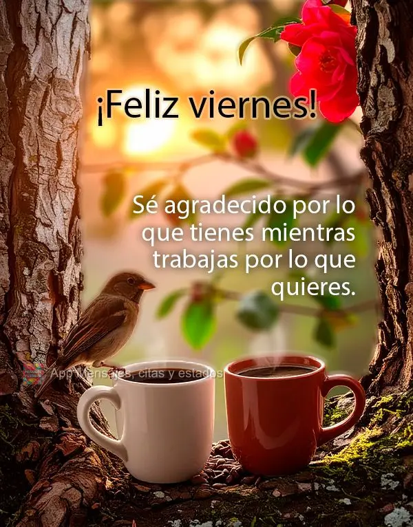 Seja grato pelo que tem enquanto trabalha pelo que deseja. Boa Sexta-feira!