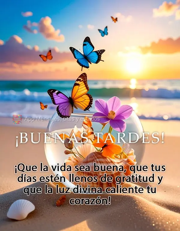 Que a vida possa ser boa, que os dias sejam de gratidão e que a luz divina aqueça o seu coração! Boa tarde!