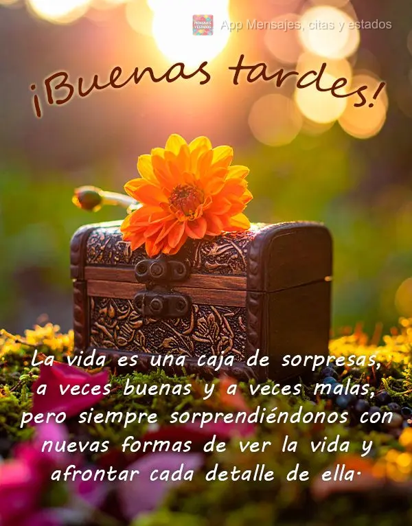 A vida é uma caixinha de surpresas, às vezes boas e às vezes ruins, mas sempre nos surpreendendo com novos jeitos de enxergar a vida e lidar com cada ...