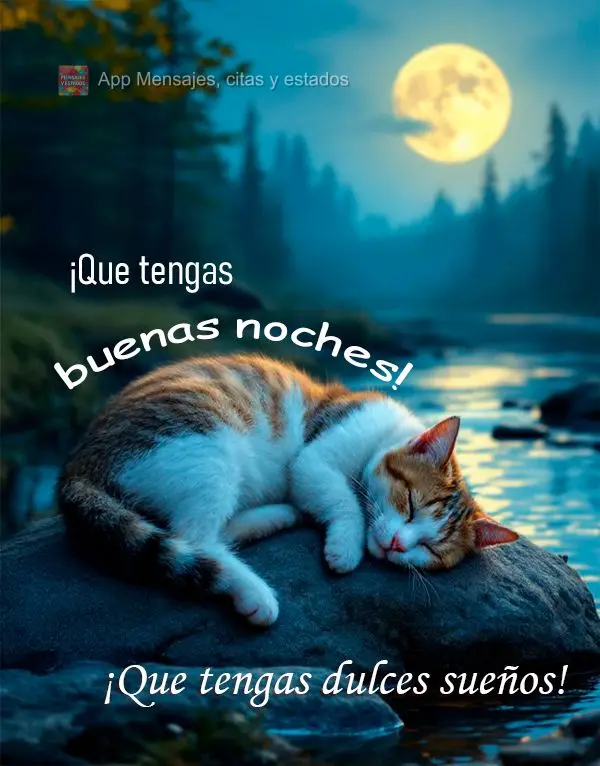 Tenha uma Boa noite! Bons Sonhos!