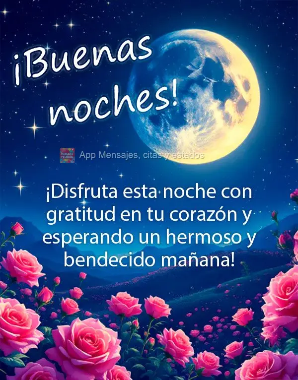 ¡Disfruta esta noche con gratitud en tu corazón y esperando un hermoso y bendecido mañana! ¡Buenas noches!