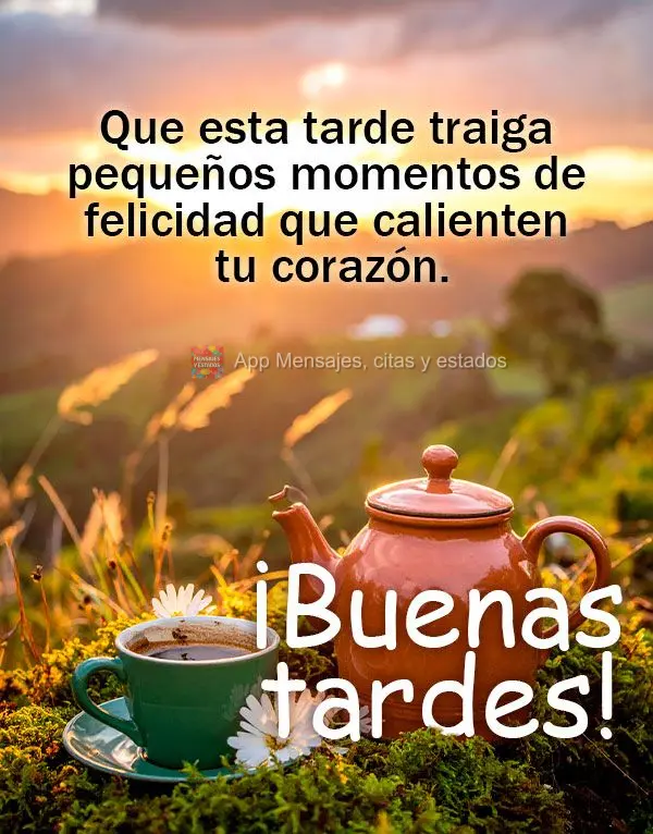 Que esta tarde traga pequenos momentos de felicidade que aqueçam seu coração. Boa tarde!