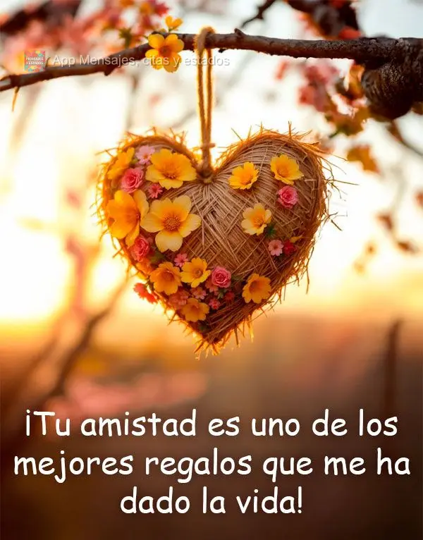 ¡Tu amistad es uno de los mejores regalos que me ha dado la vida!