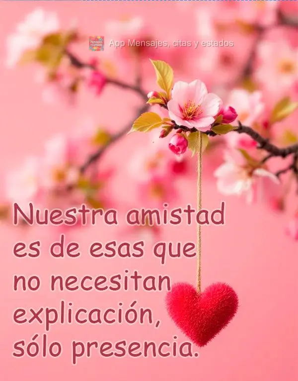 Nuestra amistad es de esas que no necesitan explicación, sólo presencia.