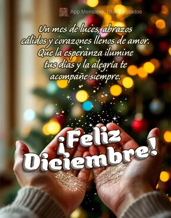Mês de luzes, abraços calorosos e corações aquecidos. Que a esperança ilumine seus dias e a alegria seja sua companhia constante. Feliz Dezembro!
