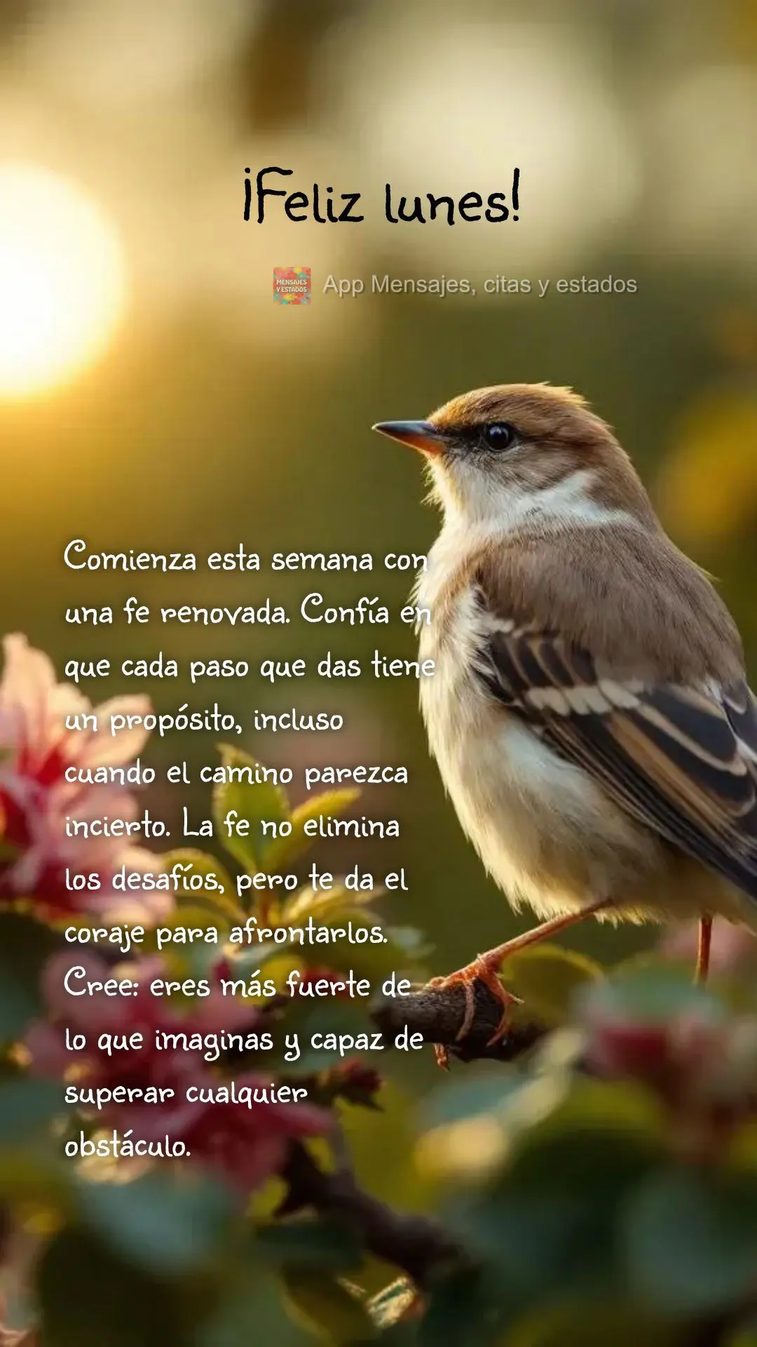 Comienza esta semana con una fe renovada. Confía en que cada paso que das tiene un propósito, incluso cuando el camino parezca incierto. La fe no elimi...