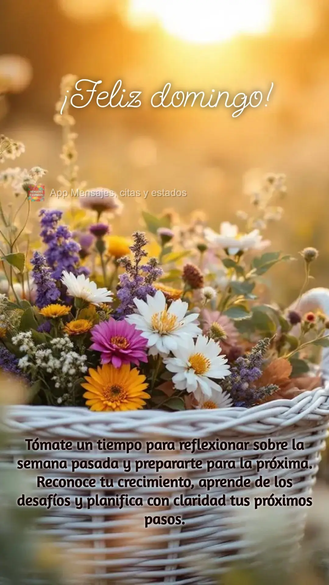 Tómate un tiempo para reflexionar sobre la semana pasada y prepararte para la próxima. Reconoce tu crecimiento, aprende de los desafíos y planifica co...