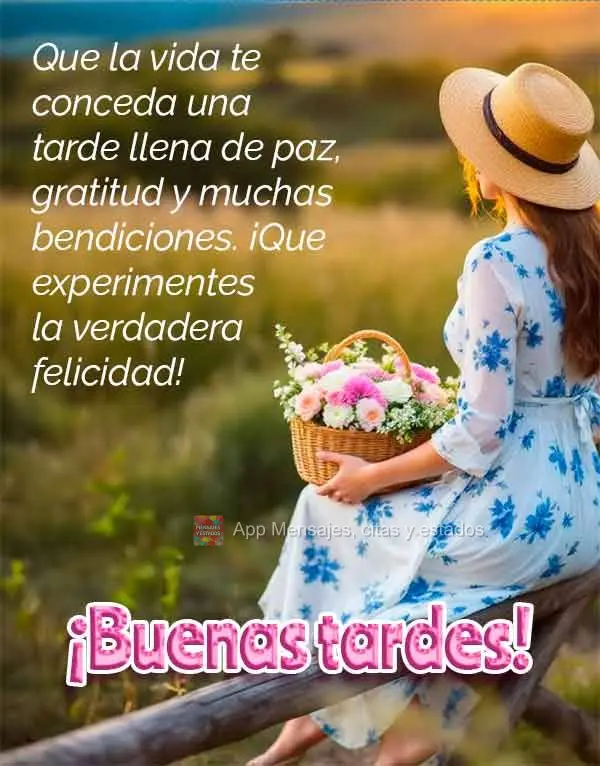 Que la vida te conceda una tarde llena de paz, gratitud y muchas bendiciones. ¡Que experimentes la verdadera felicidad! ¡Buenas tardes!