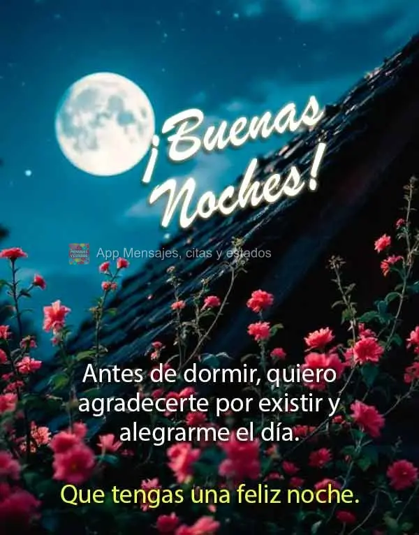 Antes de dormir, quiero agradecerte por existir y alegrarme el día. Que tengas una feliz noche. ¡Buenas noches!