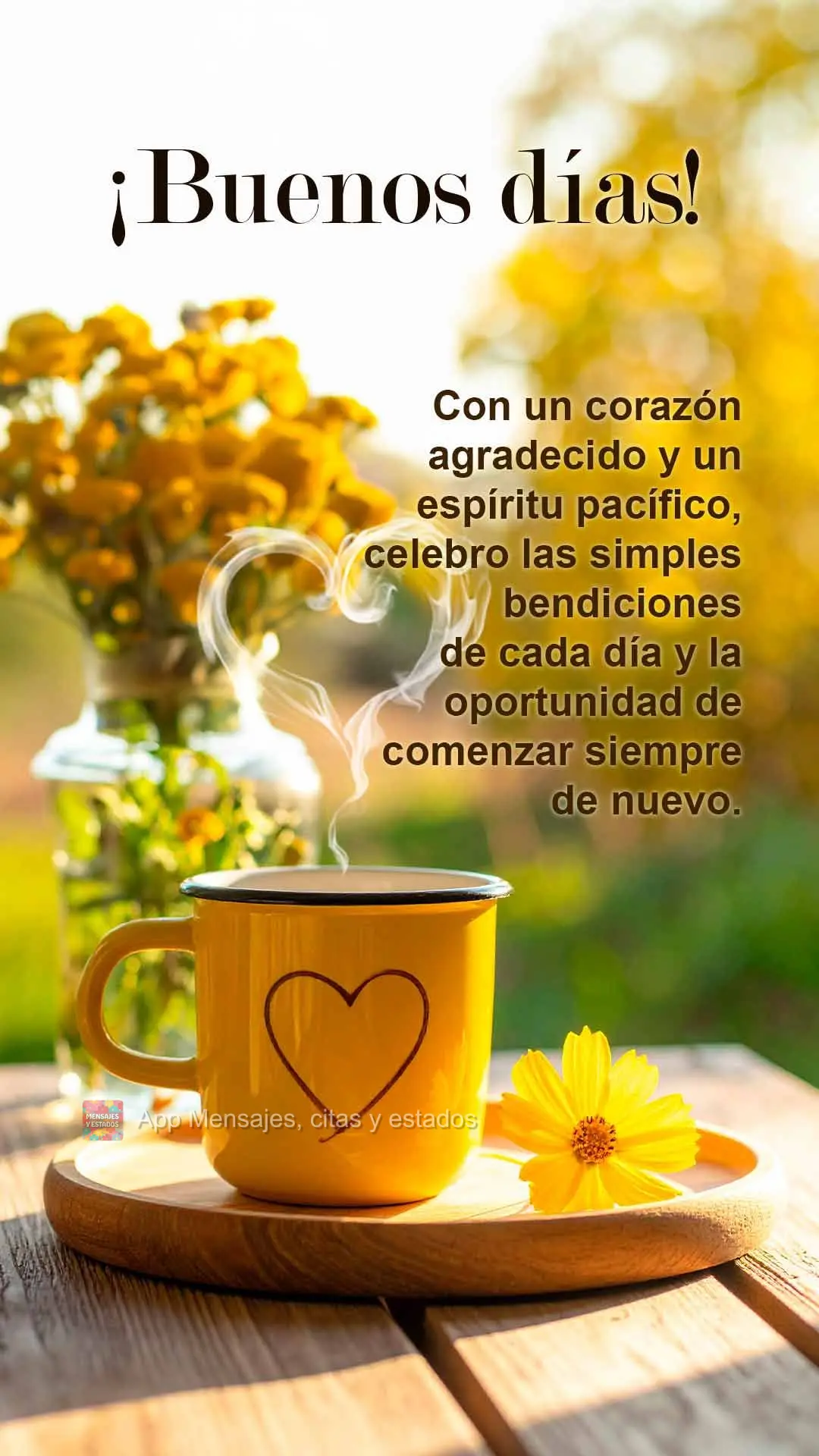 Con un corazón agradecido y un espíritu pacífico, celebro las simples bendiciones de cada día y la oportunidad de comenzar siempre de nuevo. ¡Buenos...