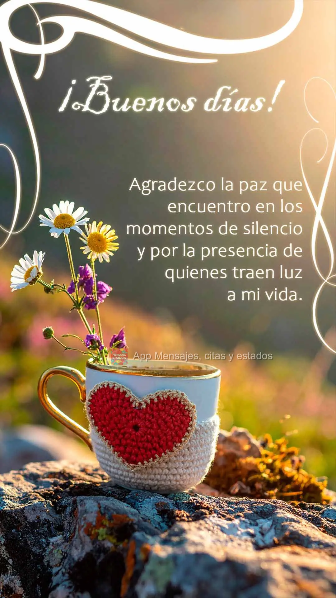 Agradezco la paz que encuentro en los momentos de silencio y por la presencia de quienes traen luz a mi vida. ¡Buen día!