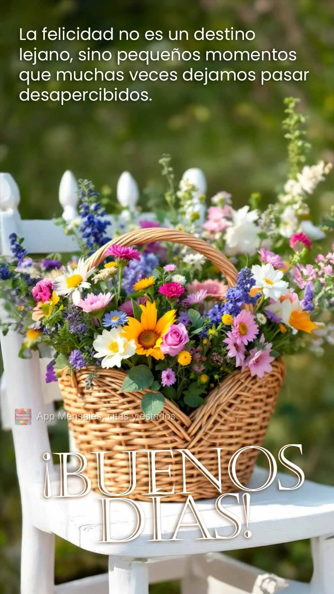 A felicidade não é um destino distante, mas pequenos momentos que muitas vezes deixamos passar despercebidos. Bom dia!