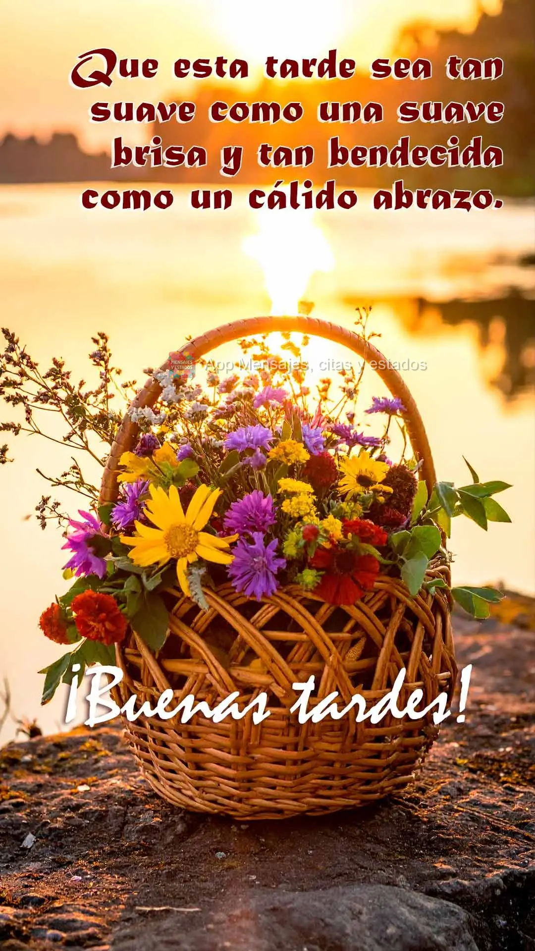 Que esta tarde seja suave como uma brisa gentil e abençoada como um abraço apertado. Boa tarde!