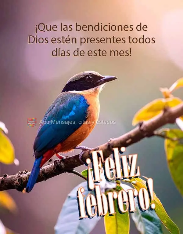 Que as bênçãos de Deus se façam presente em cada dia deste mês! Feliz Fevereiro!