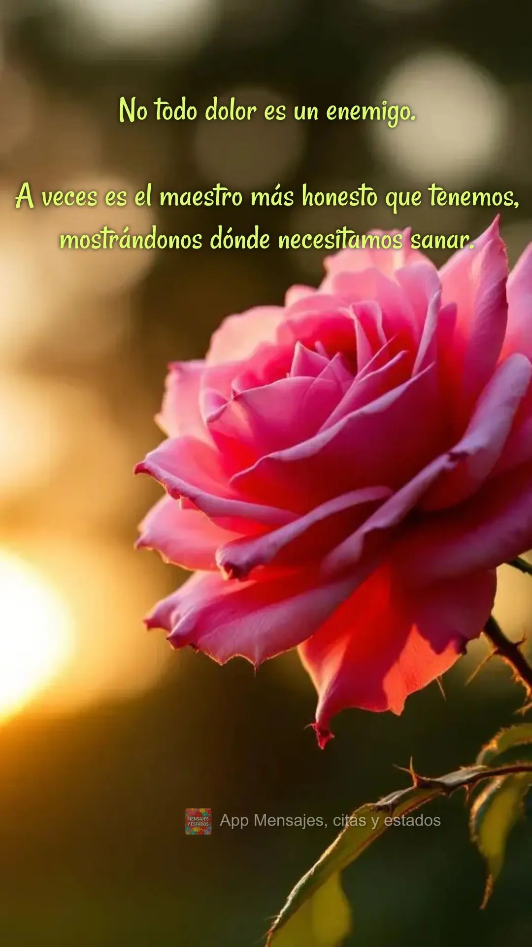 No todo dolor es un enemigo.

A veces es el maestro más honesto que tenemos, mostrándonos dónde necesitamos sanar. 