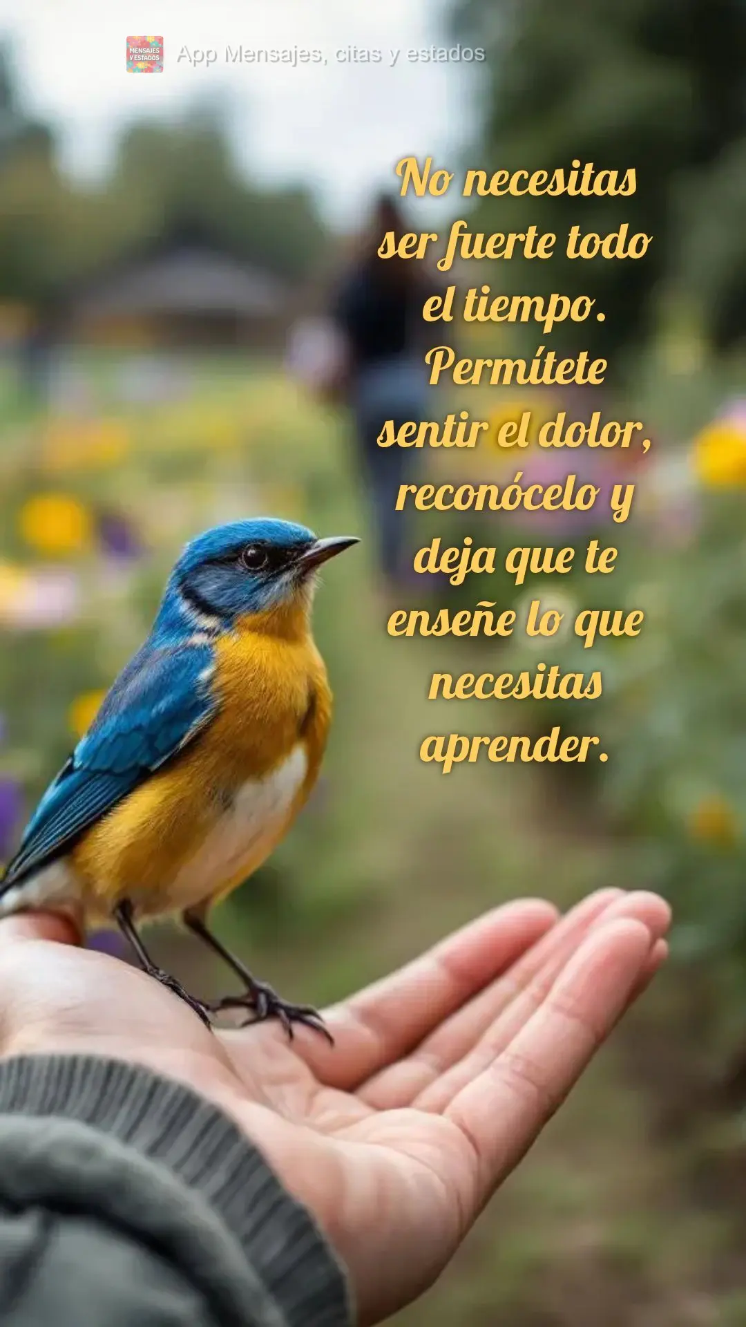 No necesitas ser fuerte todo el tiempo. Permítete sentir el dolor, reconócelo y deja que te enseñe lo que necesitas aprender.