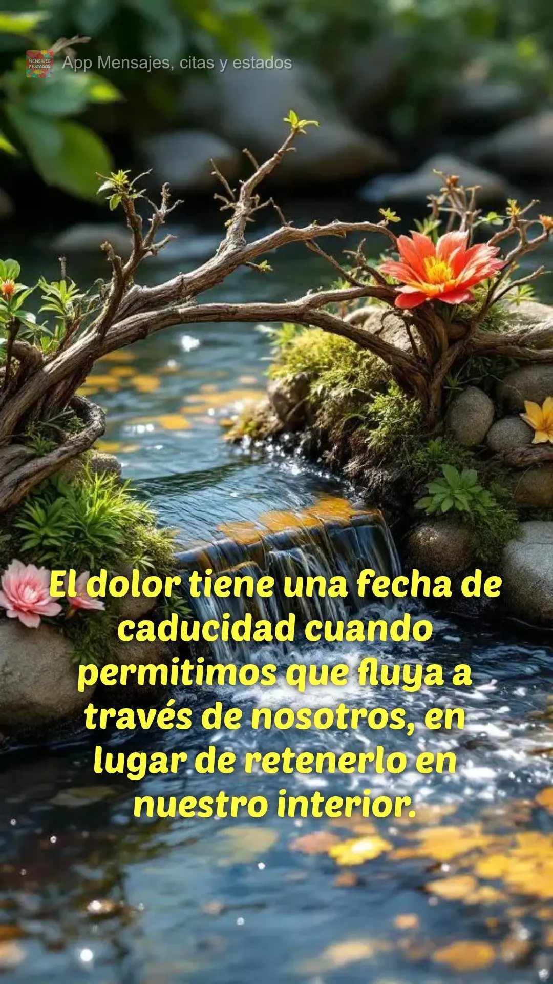 El dolor tiene una fecha de caducidad cuando permitimos que fluya a través de nosotros, en lugar de retenerlo en nuestro interior.