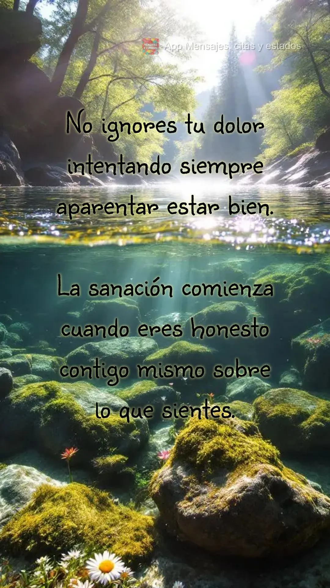 No ignores tu dolor intentando siempre aparentar estar bien.

La sanación comienza cuando eres honesto contigo mismo sobre lo que sientes.