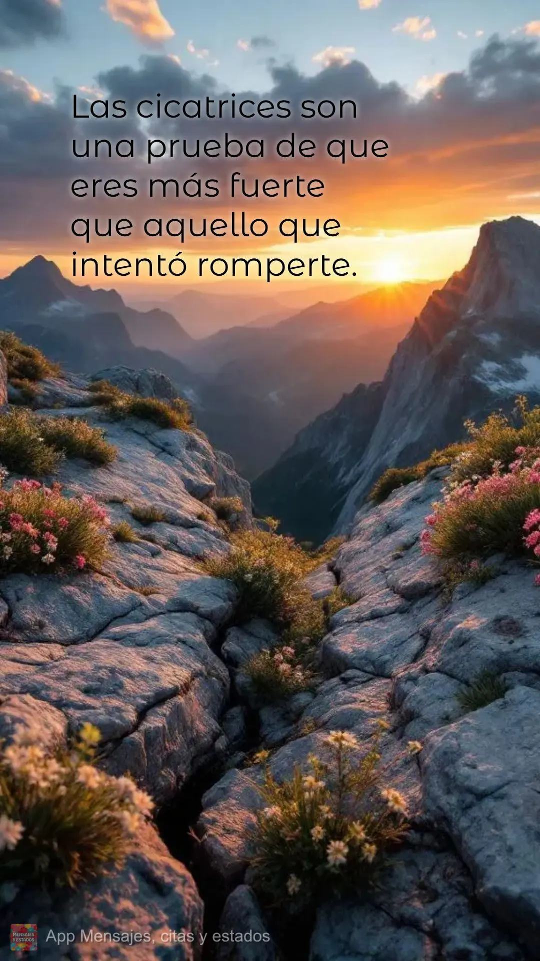 As cicatrizes são prova de que você 
é mais forte do que aquilo que tentou 
te quebrar.