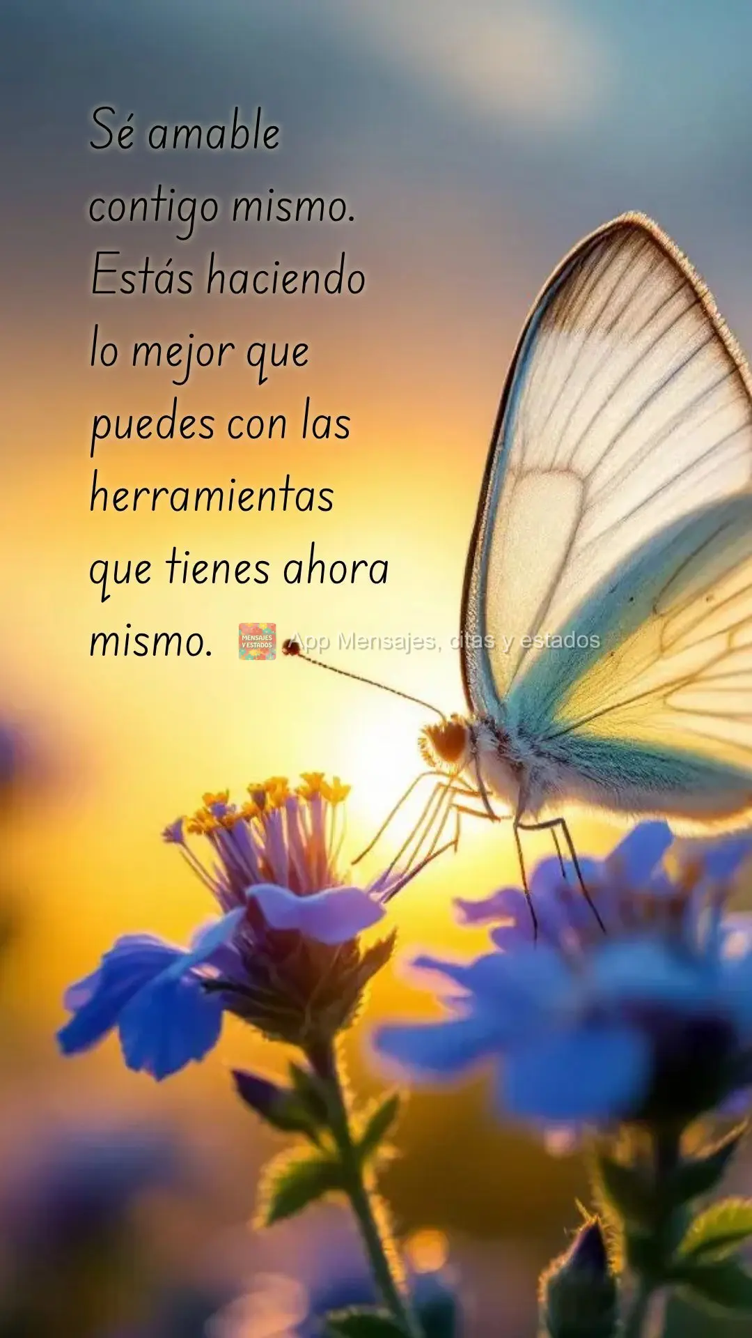 Sé amable contigo mismo. Estás haciendo lo mejor que puedes con las herramientas que tienes ahora mismo.