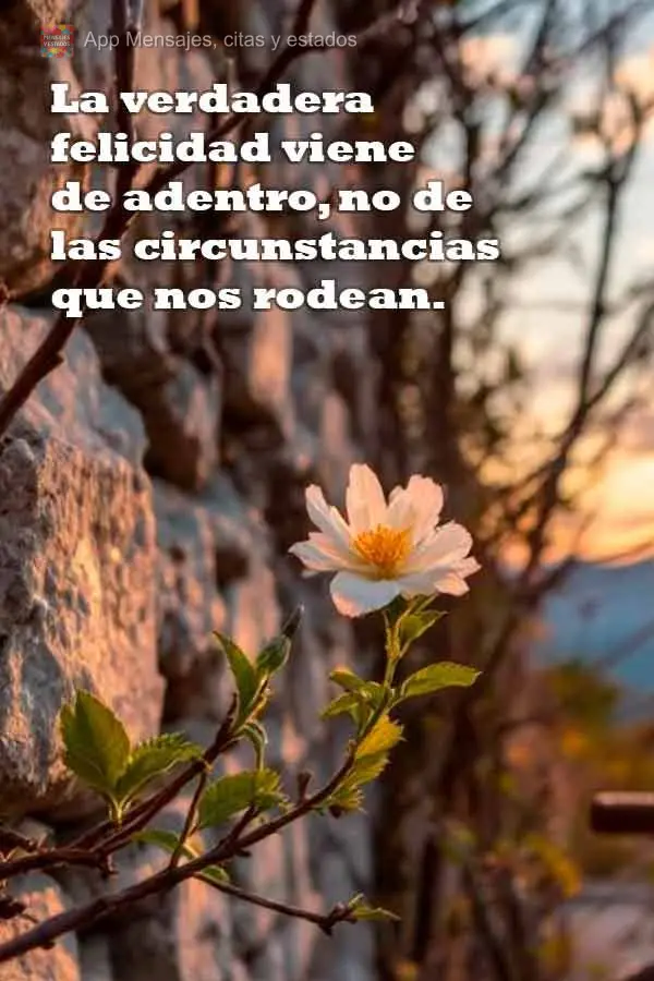 La verdadera felicidad viene de adentro, no de las circunstancias que nos rodean.