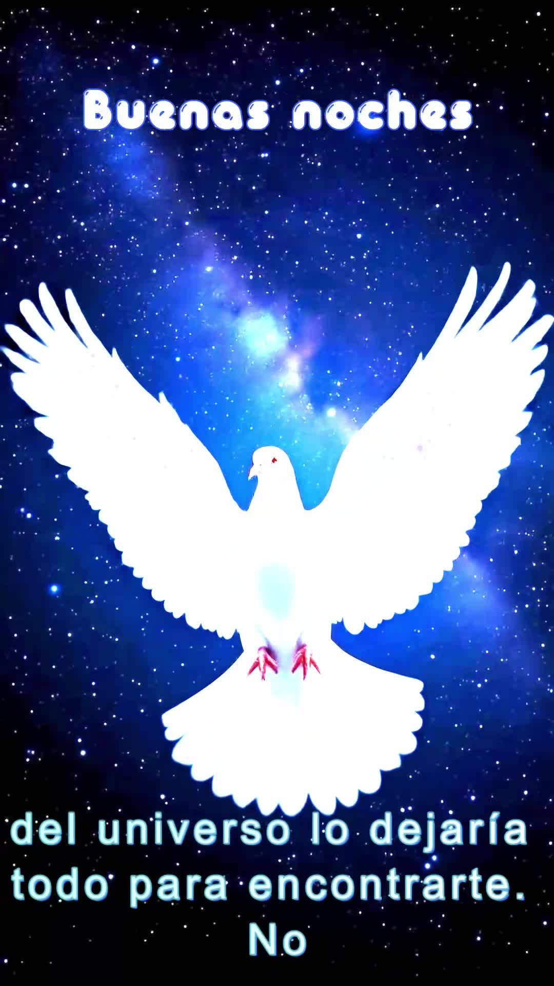Assim como o Bom Pastor deixa as noventa e nove ovelhas para buscar aquela que se perdeu, Deus nunca desiste de você, mesmo nos momentos mais escuros. E...