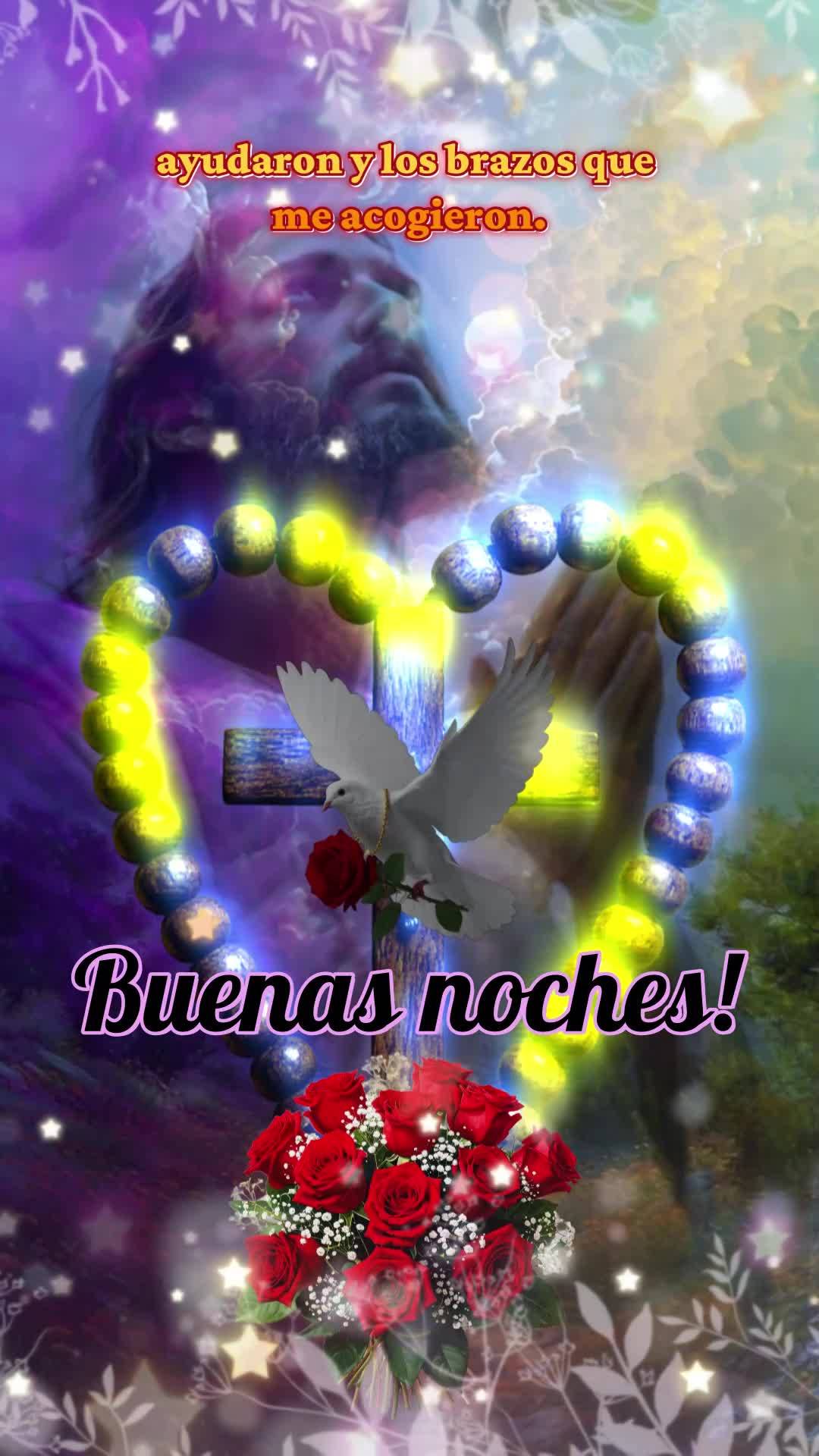Boa noite. Agradeço por cada momento vivido hoje. Pelos sorrisos, pelas lições, pelos desafios. Obrigado, Senhor, pelas mãos que me ajudaram e pelos ...