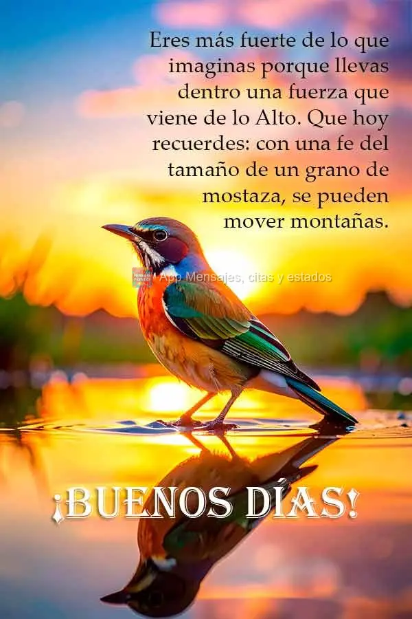 Você é mais forte do que imagina porque carrega dentro de si uma força que vem do Alto. Que hoje você se lembre: com fé do tamanho de um grão de mo...