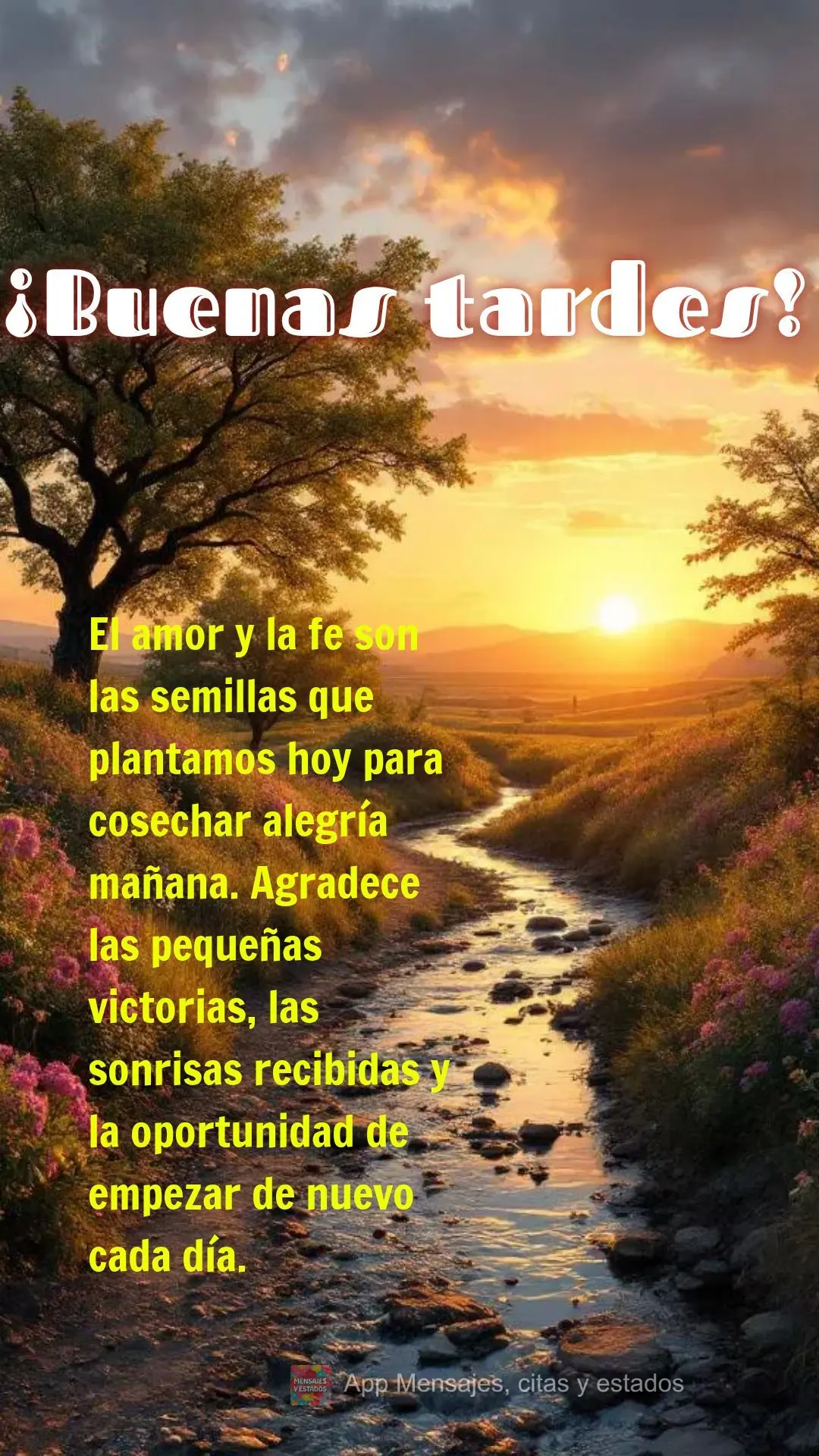 El amor y la fe son las semillas que plantamos hoy para cosechar alegría mañana. Agradece las pequeñas victorias, las sonrisas recibidas y la oportuni...