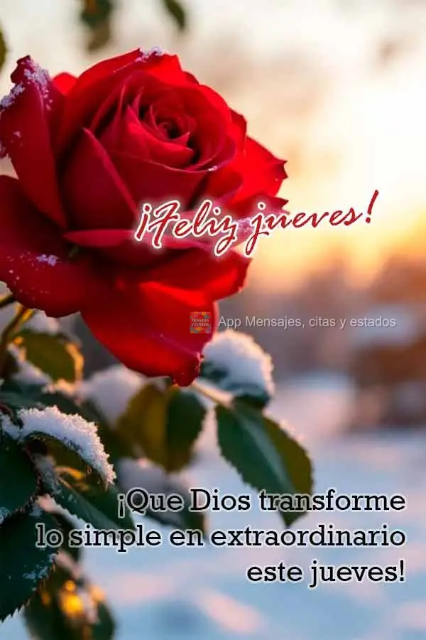 ¡Que Dios transforme lo simple en extraordinario este jueves! ¡Feliz jueves! 