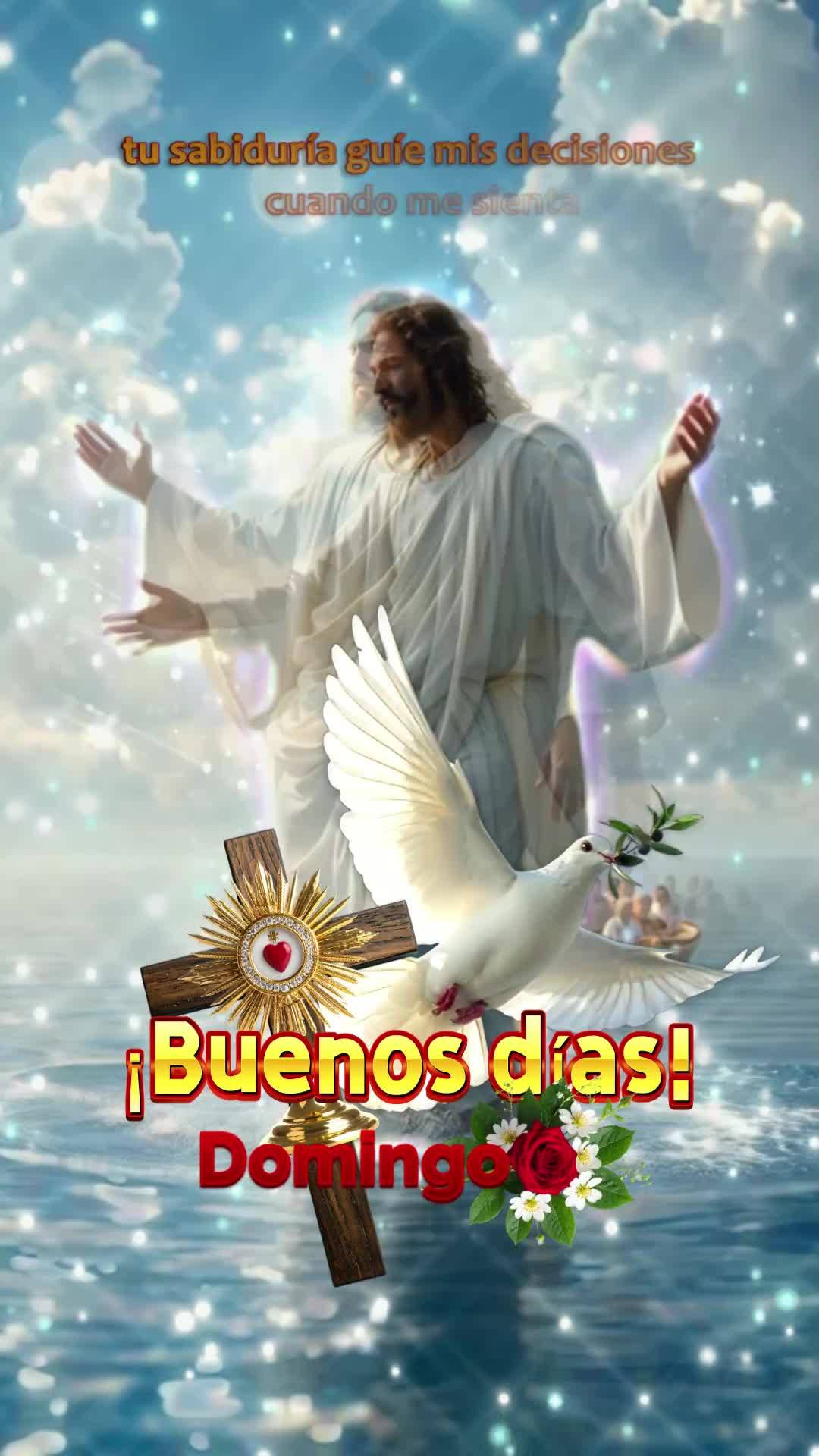 Essa mensagem não chegou até você por acaso...

Senhor Deus, neste domingo abençoado, venho diante de Ti com um coração grato. Pai, Tu conheces cad...