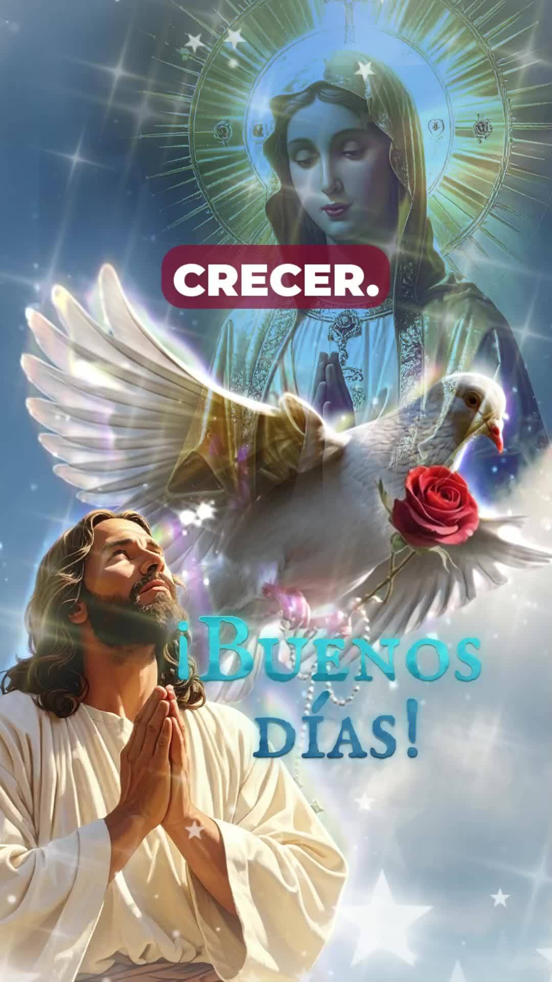 Agradeço a Deus pelo novo amanhecer, pela oportunidade de testemunhar mais um dia. Meu coração transborda de gratidão pela saúde que me permite ergu...