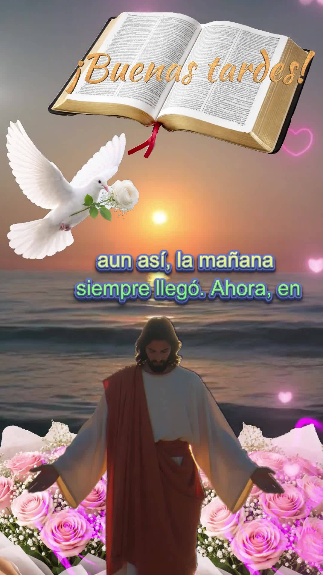 Se você acredita, escute até o final… Boa tarde! Este momento do dia é uma prova de que você chegou até aqui. Não por acaso, não por sorte, mas ...