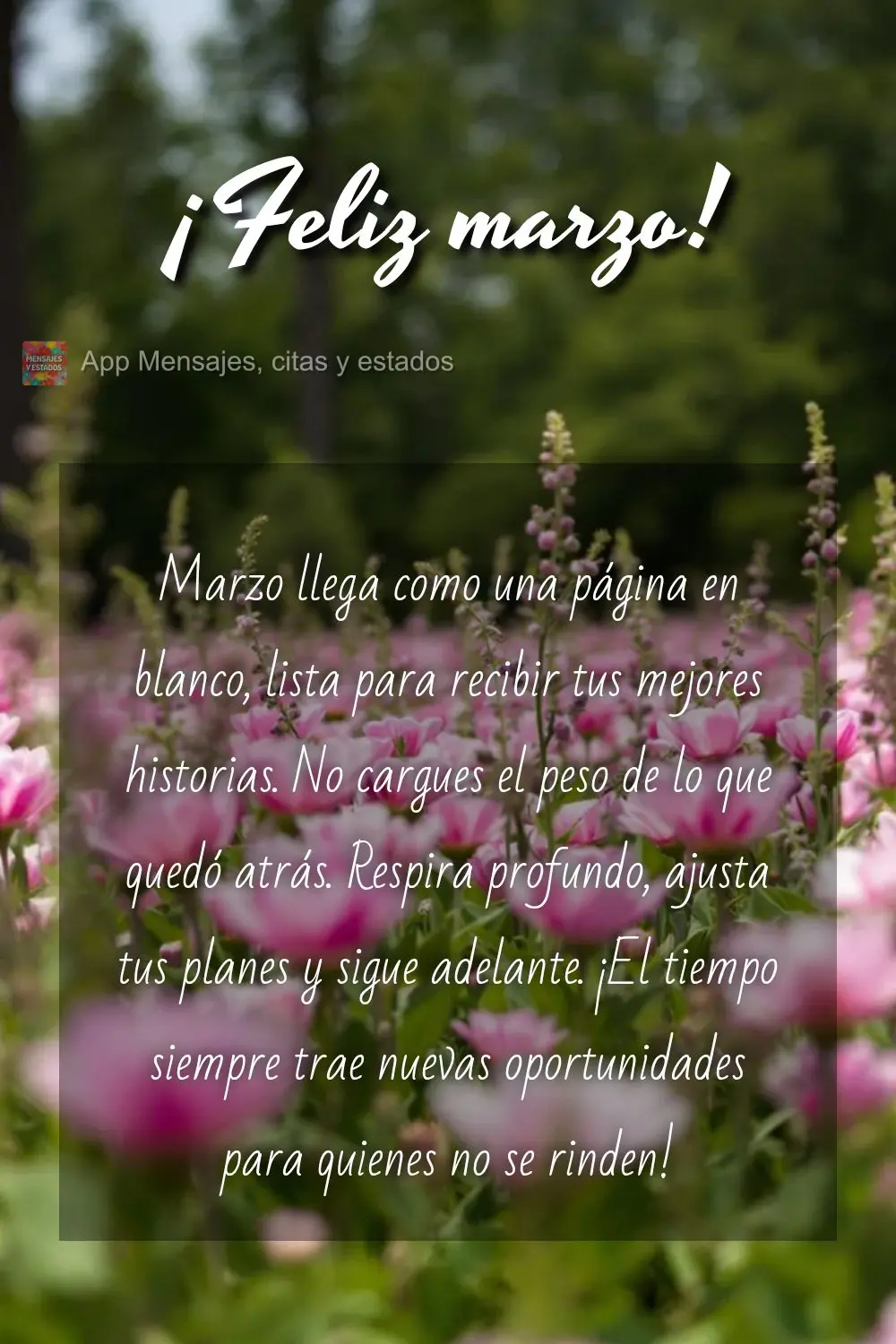 Marzo llega como una página en blanco, lista para recibir tus mejores historias. No cargues el peso de lo que quedó atrás. Respira profundo, ajusta tu...