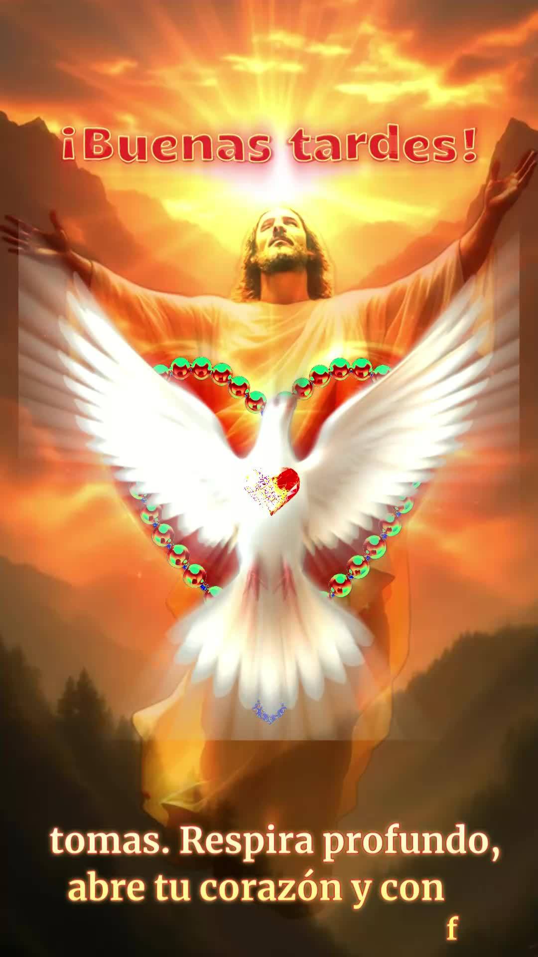 Boa tarde! Saiba que Deus não se esqueceu de você hoje. Cada momento desta tarde é uma prova do cuidado e do amor que Ele tem pela sua vida. Talvez vo...