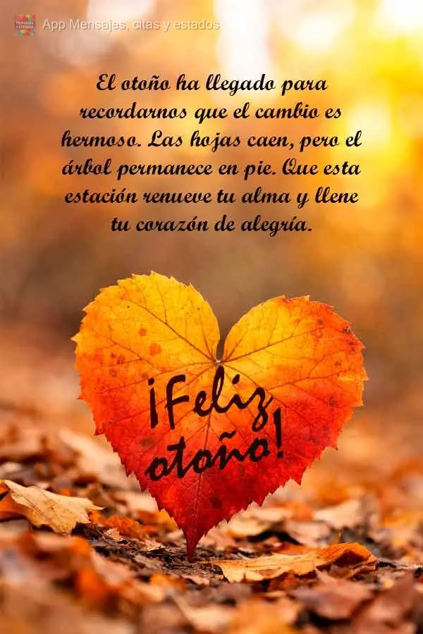 O outono chegou para nos lembrar que mudar é bonito. As folhas caem, mas a árvore continua de pé. Que esta estação renove sua alma e traga leveza pa...