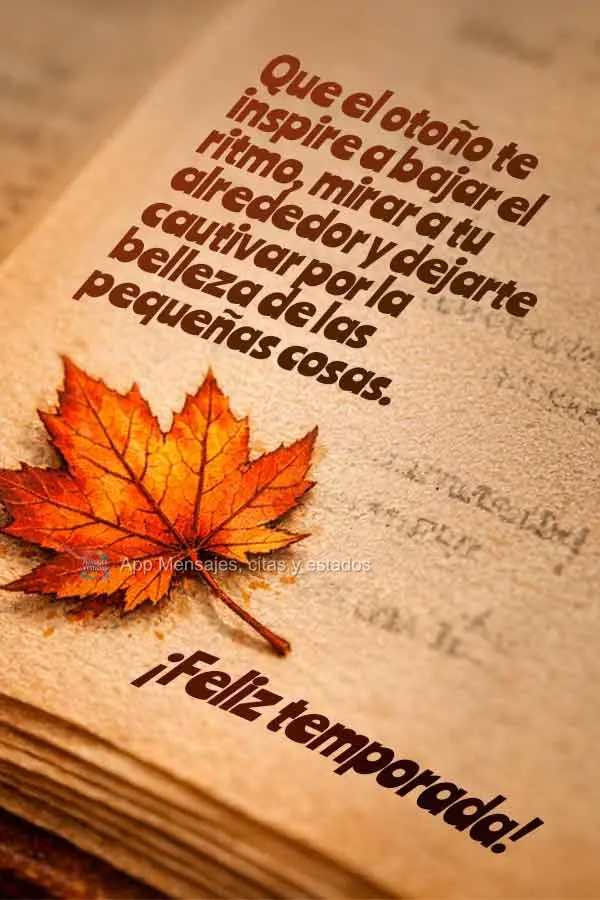 Que o outono inspire você a desacelerar, olhar ao redor e se encantar com a beleza das pequenas coisas. Boa estação!