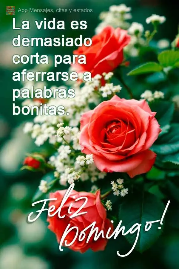 A vida é curta demais para guardar palavras bonitas. Feliz Domingo!