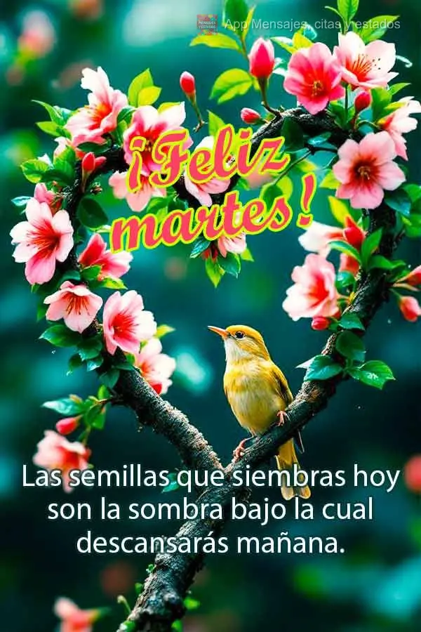 As sementes que você planta hoje são as sombras sob as quais vai descansar amanhã. Feliz Terça!