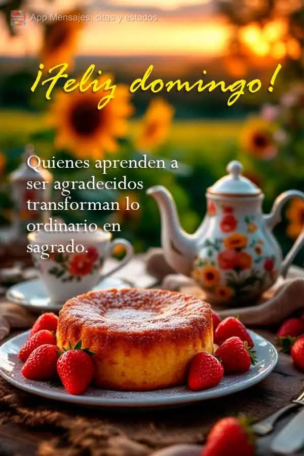 Quem aprende a ser grato transforma o ordinário em sagrado. Feliz Domingo!