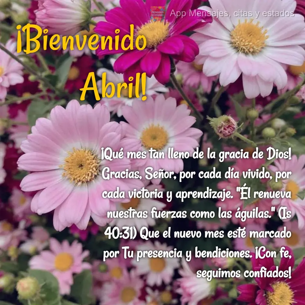 ¡Qué mes tan lleno de la gracia de Dios! Gracias, Señor, por cada día vivido, por cada victoria y aprendizaje. "Él renueva nuestras fuerzas como las...