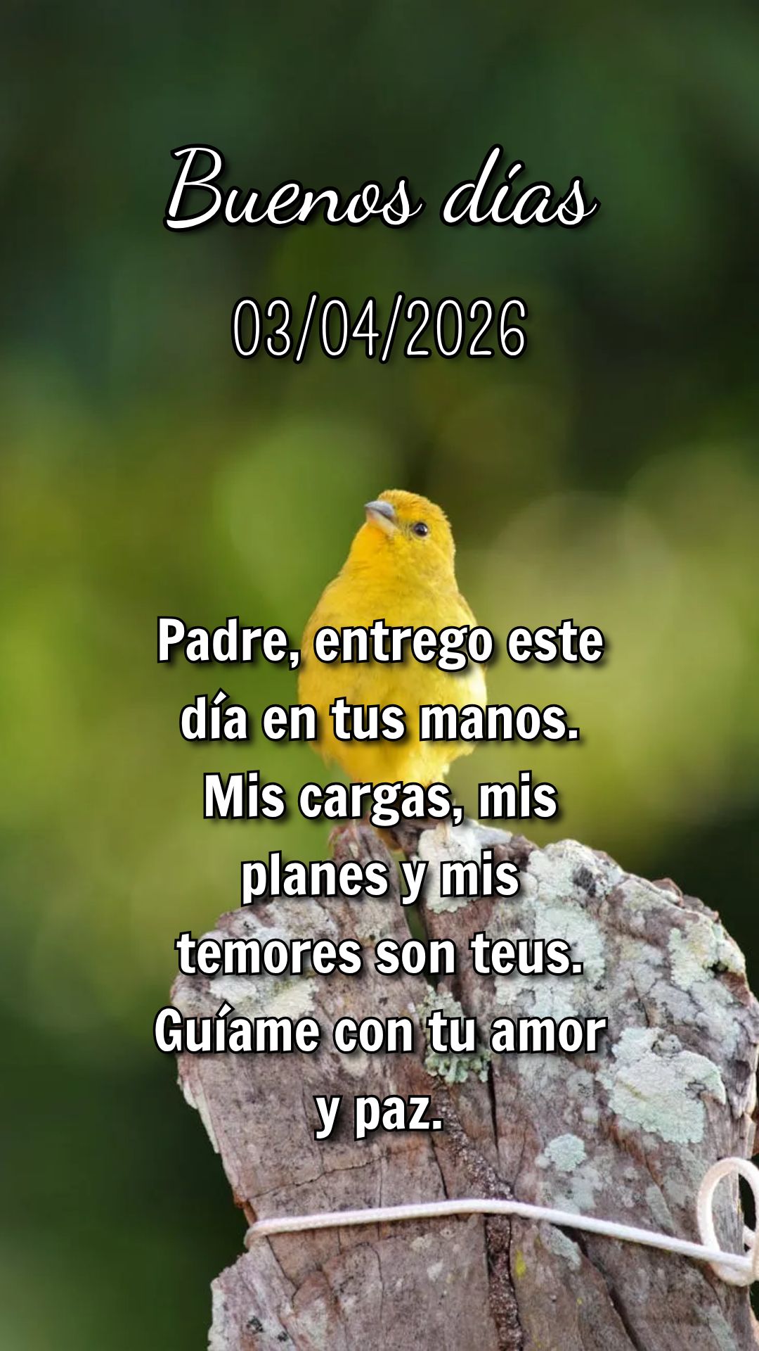 Senhor, que bom chegar ao fim desta semana sabendo que o Senhor esteve comigo em cada passo. Obrigado por tudo.